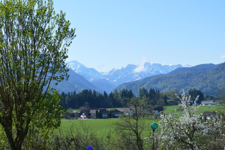 Pension Schindlau Scharnstein Bagian luar foto
