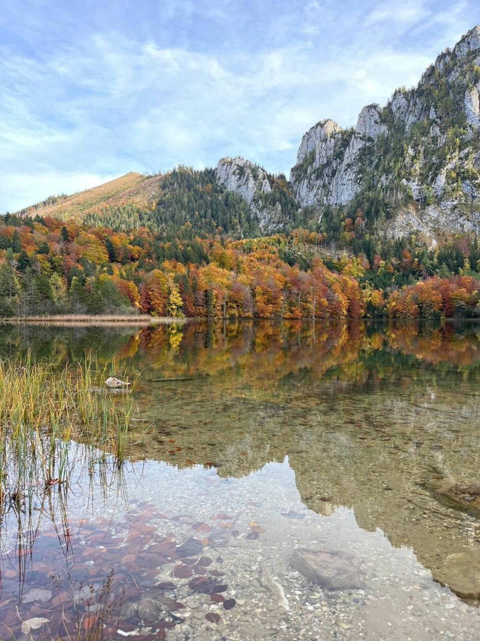 Pension Schindlau Scharnstein Bagian luar foto